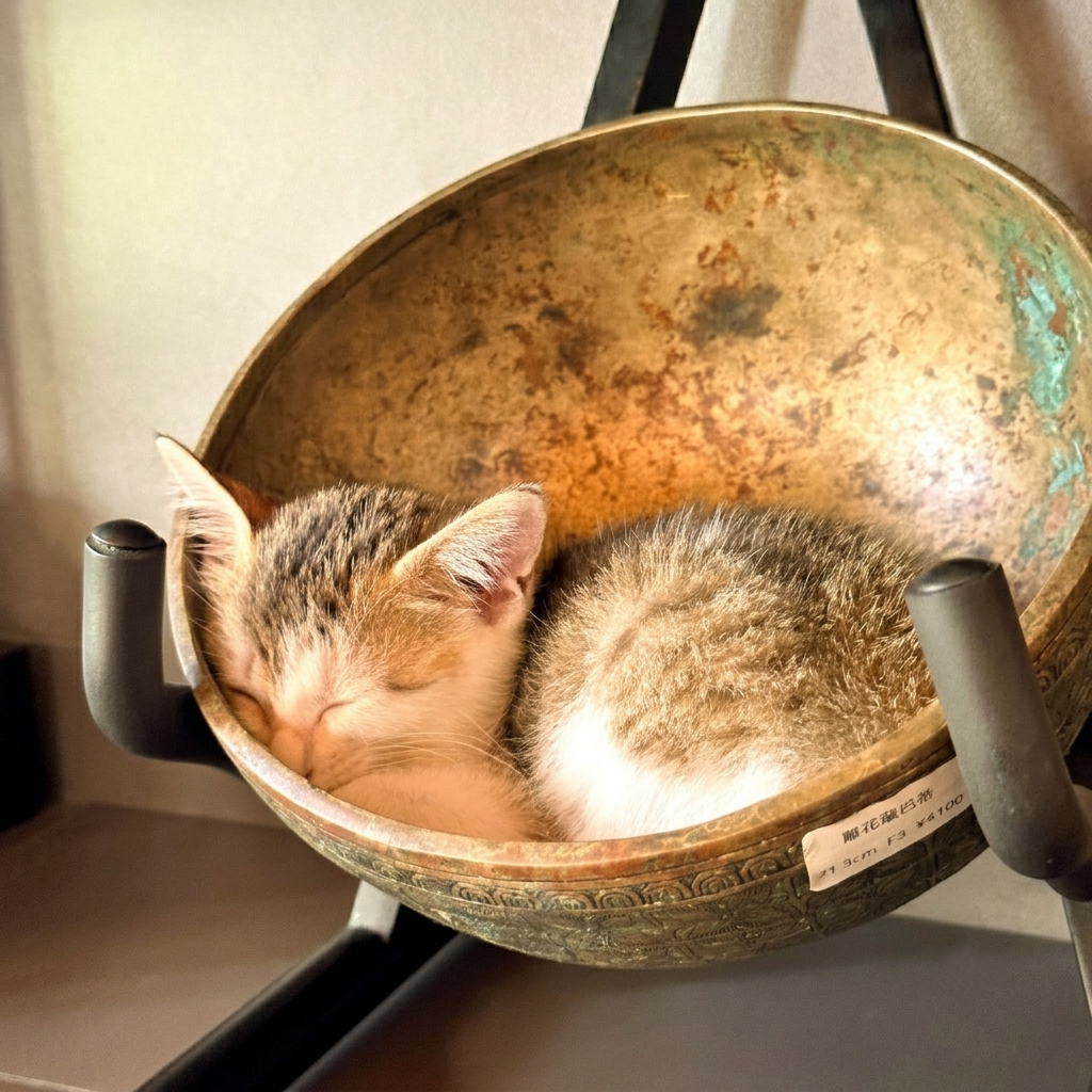 Gemini_Generated_Image_fdyuqzfdyuqzfdyu Pet Therapy - Image 1